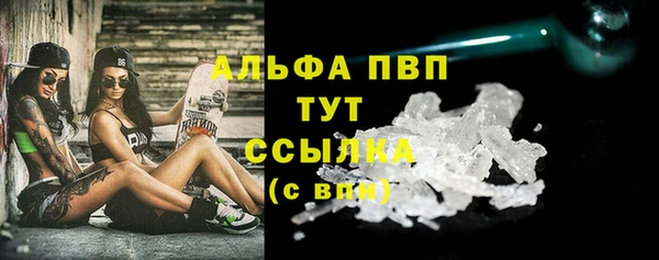 шишки Вязники
