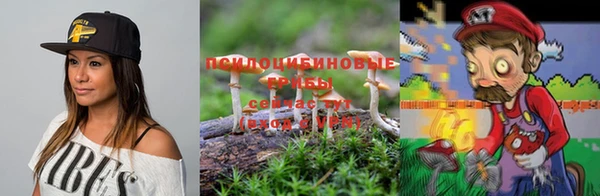 ешки Волоколамск