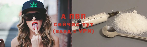 шишки Вязники