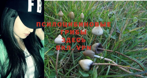 ешки Волоколамск