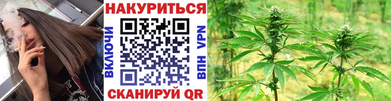 Каннабис OG Kush  Хасавюрт 